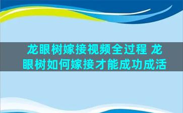 龙眼树嫁接视频全过程 龙眼树如何嫁接才能成功成活